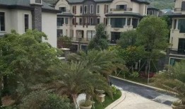 小鲁班最新爆料视频网页,揭秘视频网页背后的精彩内容