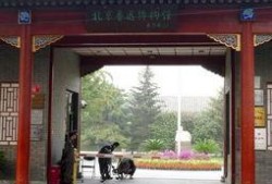 鲁迅博物馆爆料案件最新,揭秘背后真相与疑云