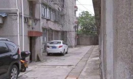 农民小区最新爆料,揭秘小区发展背后的故事