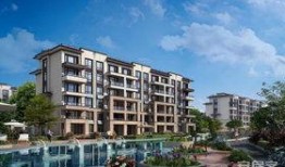 青岛鑫江最新爆料,揭秘项目背后惊人内幕！”