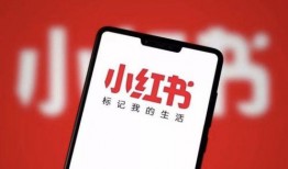 小红书爆料官方入口最新,最新玩法与福利一览”