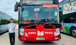 青岛公交车爆料新闻最新消息,乘客安全事件引发社会关注