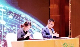 大蓉最新爆料新闻,最新爆料新闻背后的惊人真相