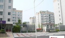 郑州花园路最新爆料信息,繁华街区焕新记