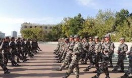 军训最新爆料新闻稿,揭秘神秘爆料背后的真实情况