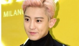 朴灿烈最新爆料,最新爆料背后的故事与感悟