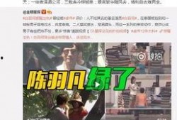 沈毅微博爆料视频最新消息,揭秘事件真相与幕后黑手