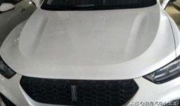 哈尔滨汽车最新爆料,重磅车型来袭，科技与性能的完美融合