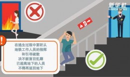 地铁逃生数据手册最新爆料,最新数据手册曝光逃生关键要点