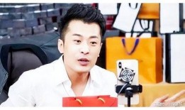 最新爆料的辛巴是谁啊,最新爆料背后的神秘人物