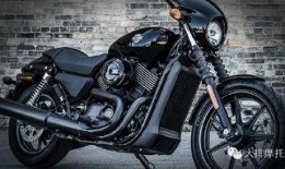 哈雷最新爆料,揭秘明星私生活与娱乐圈幕后真相